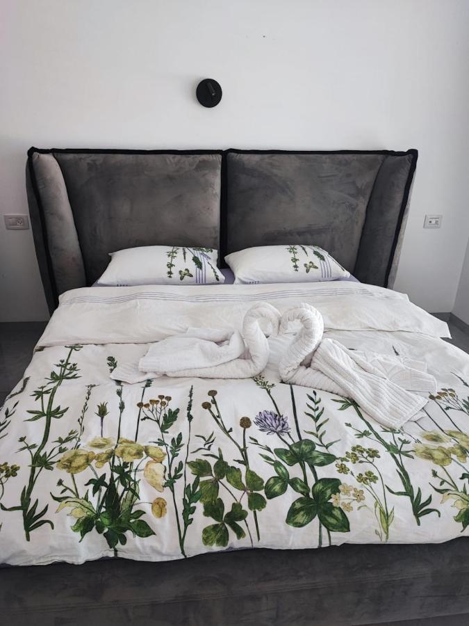 Studio Ilanit Karmiel Exteriör bild